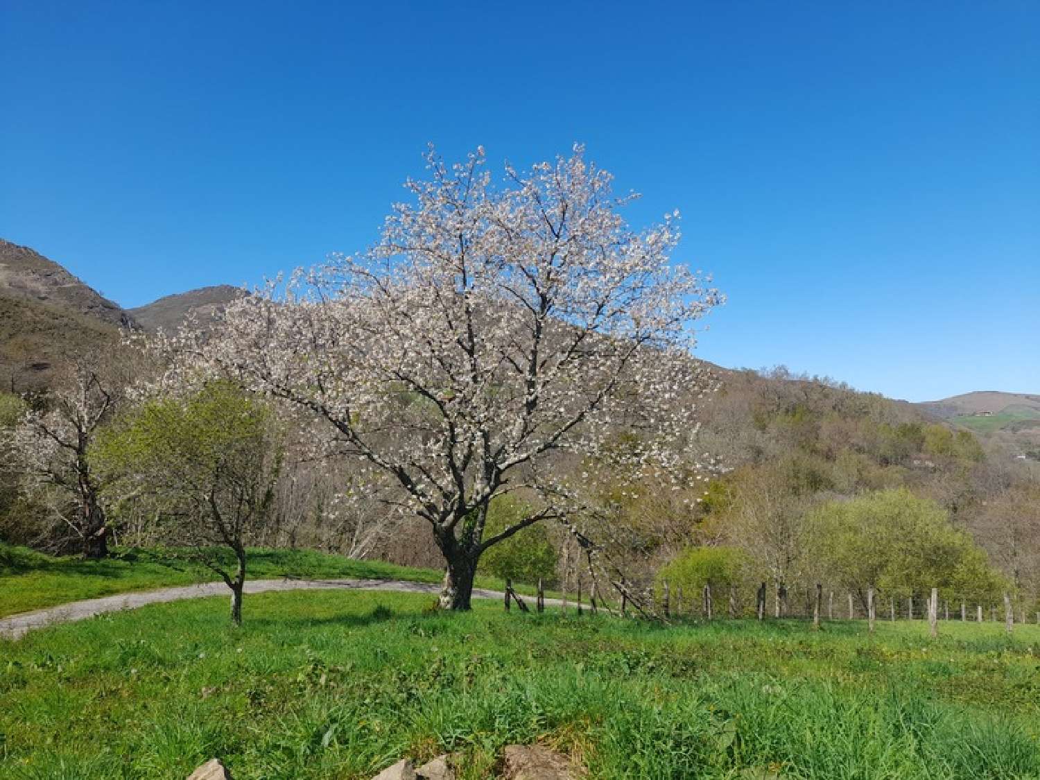  à vendre propriété Sare Pyrénées-Atlantiques 3