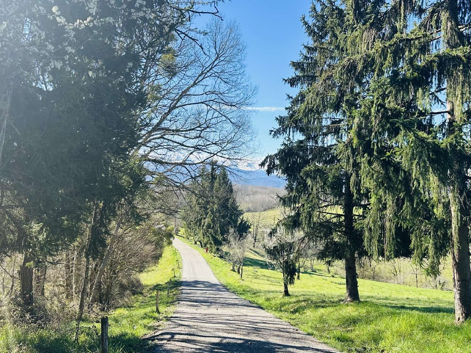 te koop landgoed Taurignan-Vieux Ariège 5