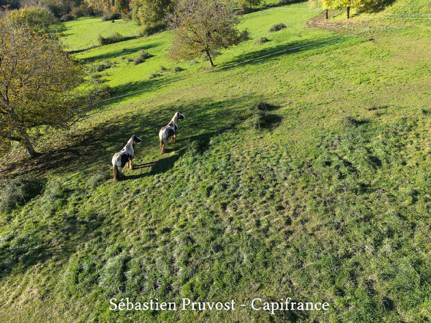  à vendre propriété Thiviers Dordogne 6