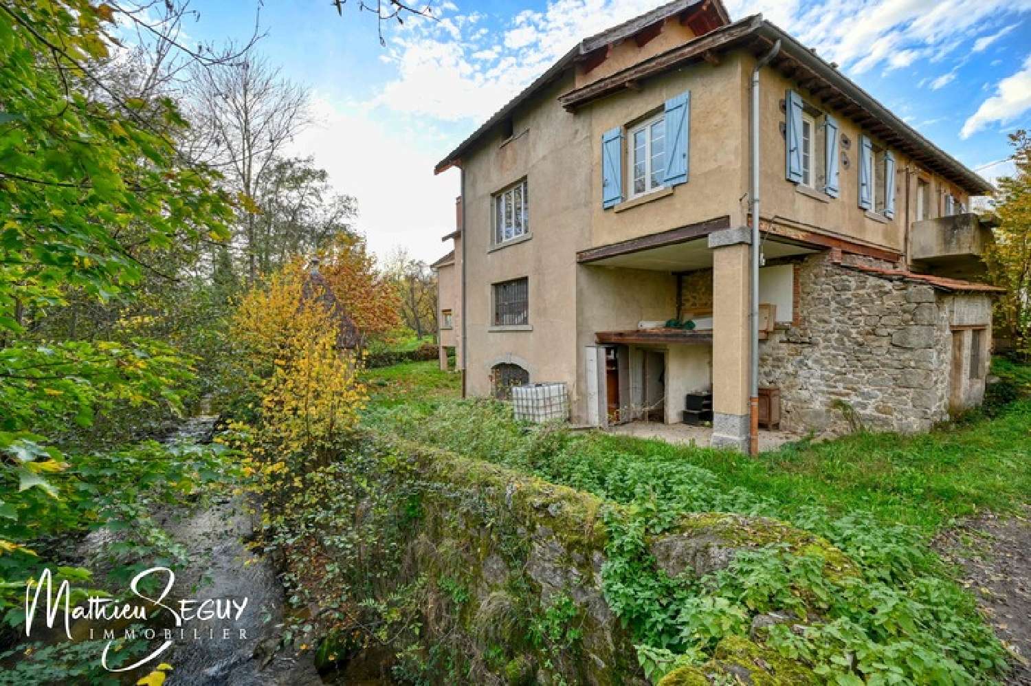 à vendre propriété Thurins Rhône 1