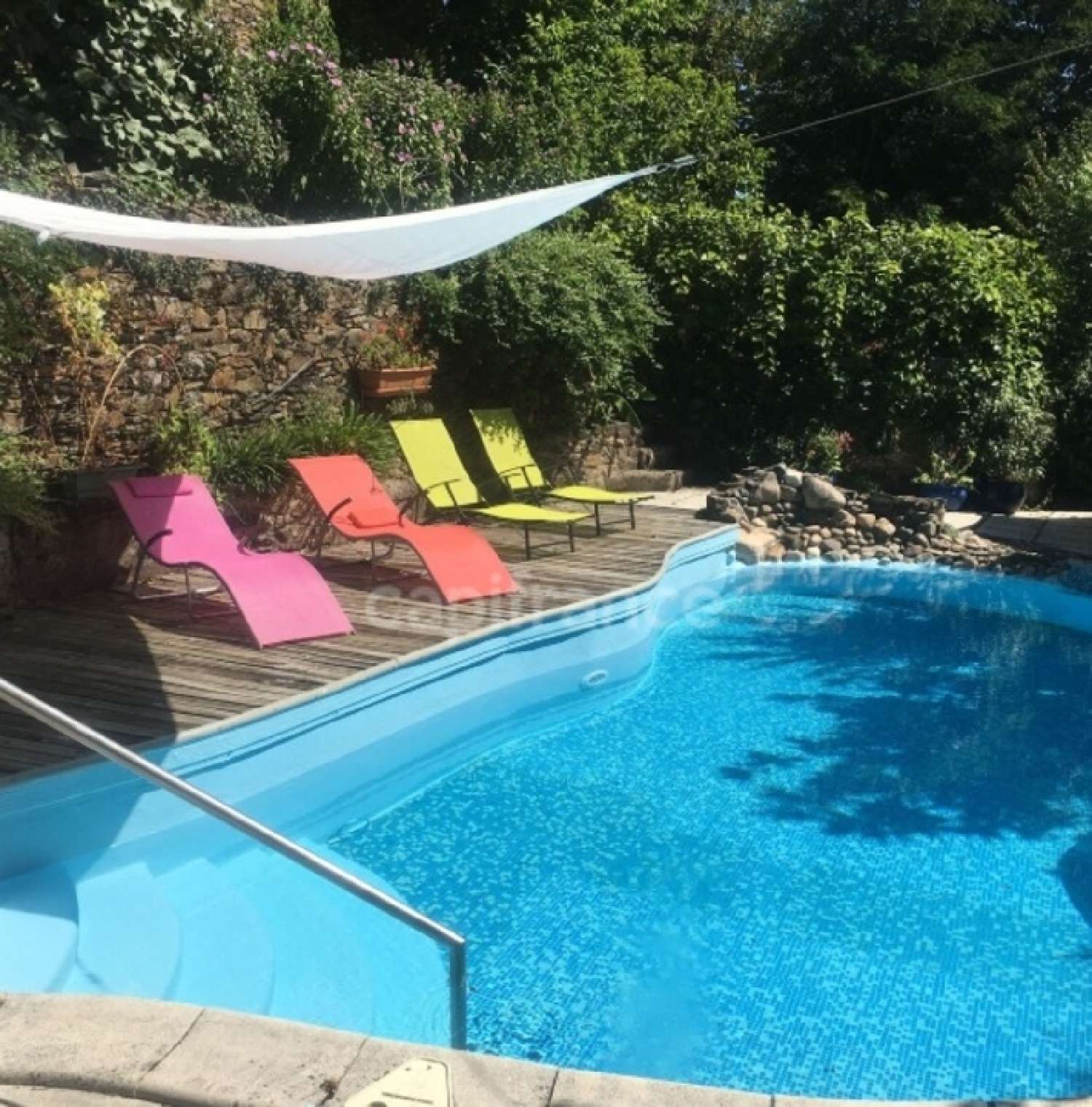  for sale estate Vieillevie Cantal 4