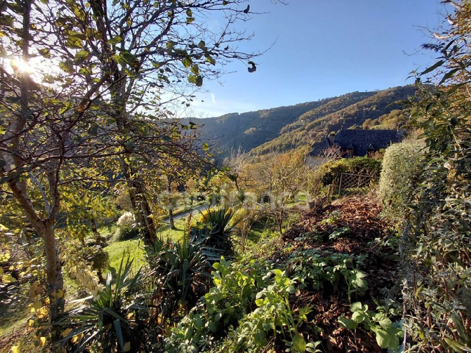  for sale estate Vieillevie Cantal 7