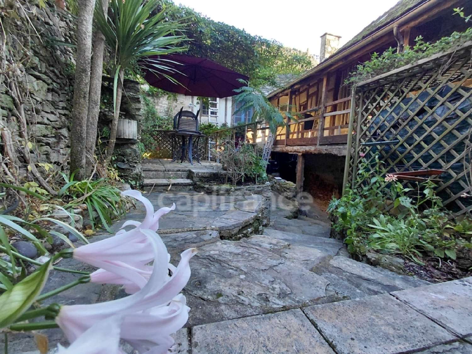  for sale estate Vieillevie Cantal 8