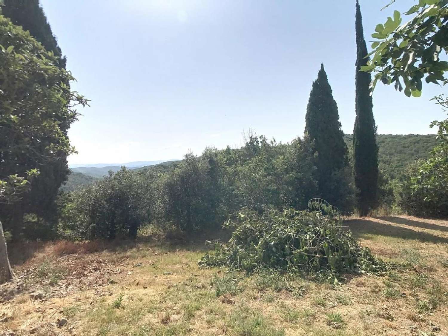  te koop landgoed Villarzel-du-Razès Aude 2