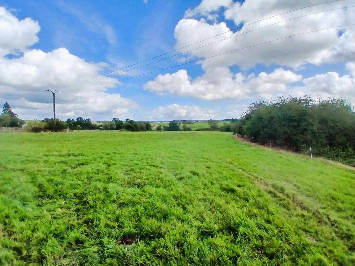  kaufen Bauernhof Aingeville Vogesen 4