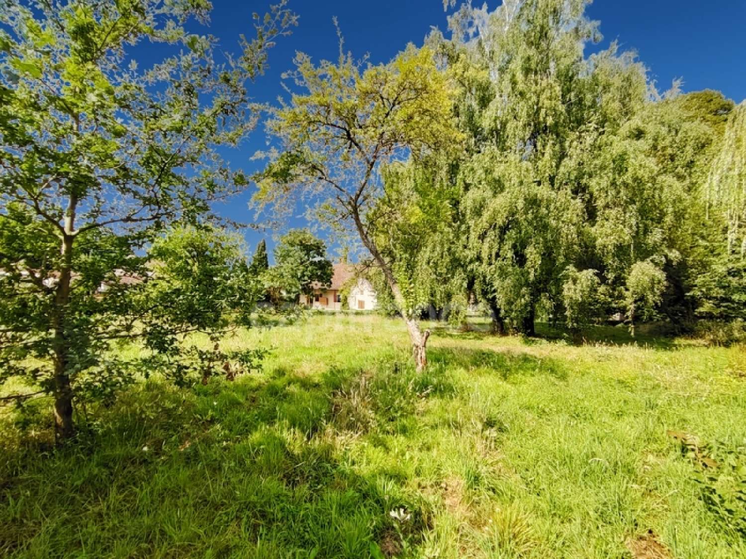 te koop boerderij Tournus Saône-et-Loire 2