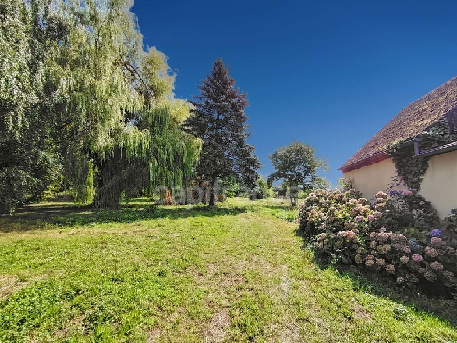 te koop boerderij Tournus Saône-et-Loire 7