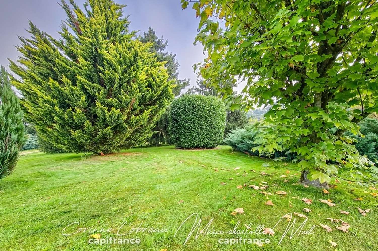  à vendre ferme Chevroux Ain 8