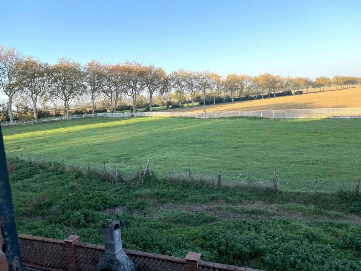  for sale farm Cintegabelle Haute-Garonne 8