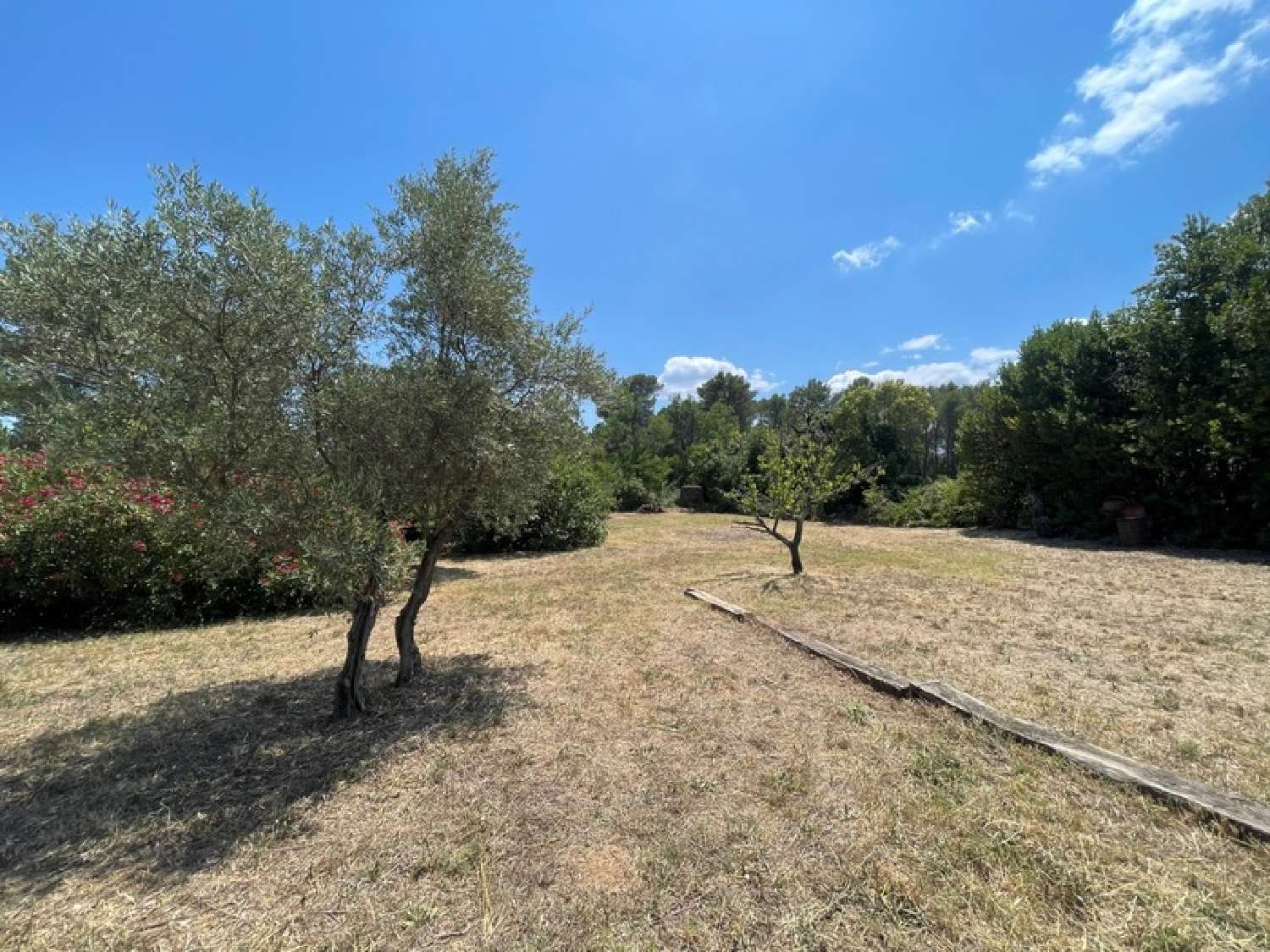 for sale farm Draguignan Var 4