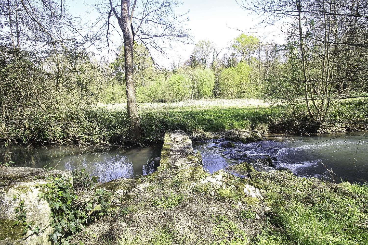  for sale farm Grandjean Charente-Maritime 3