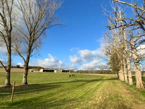 Laperche Lot-et-Garonne casa rústica foto 7209045