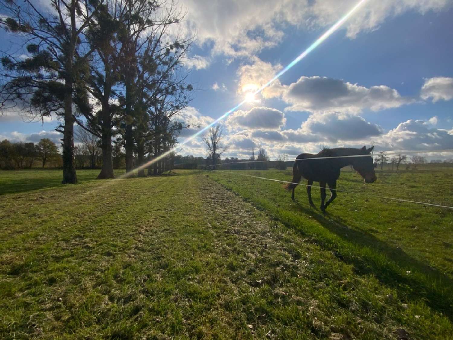 en venta casa rústica Laperche Lot-et-Garonne 6