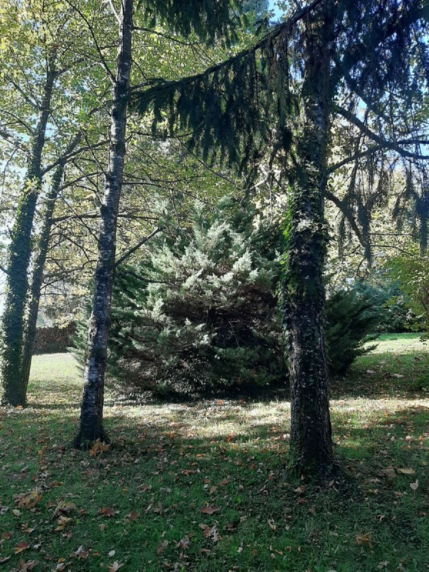  te koop boerderij Le Vigen Haute-Vienne 4