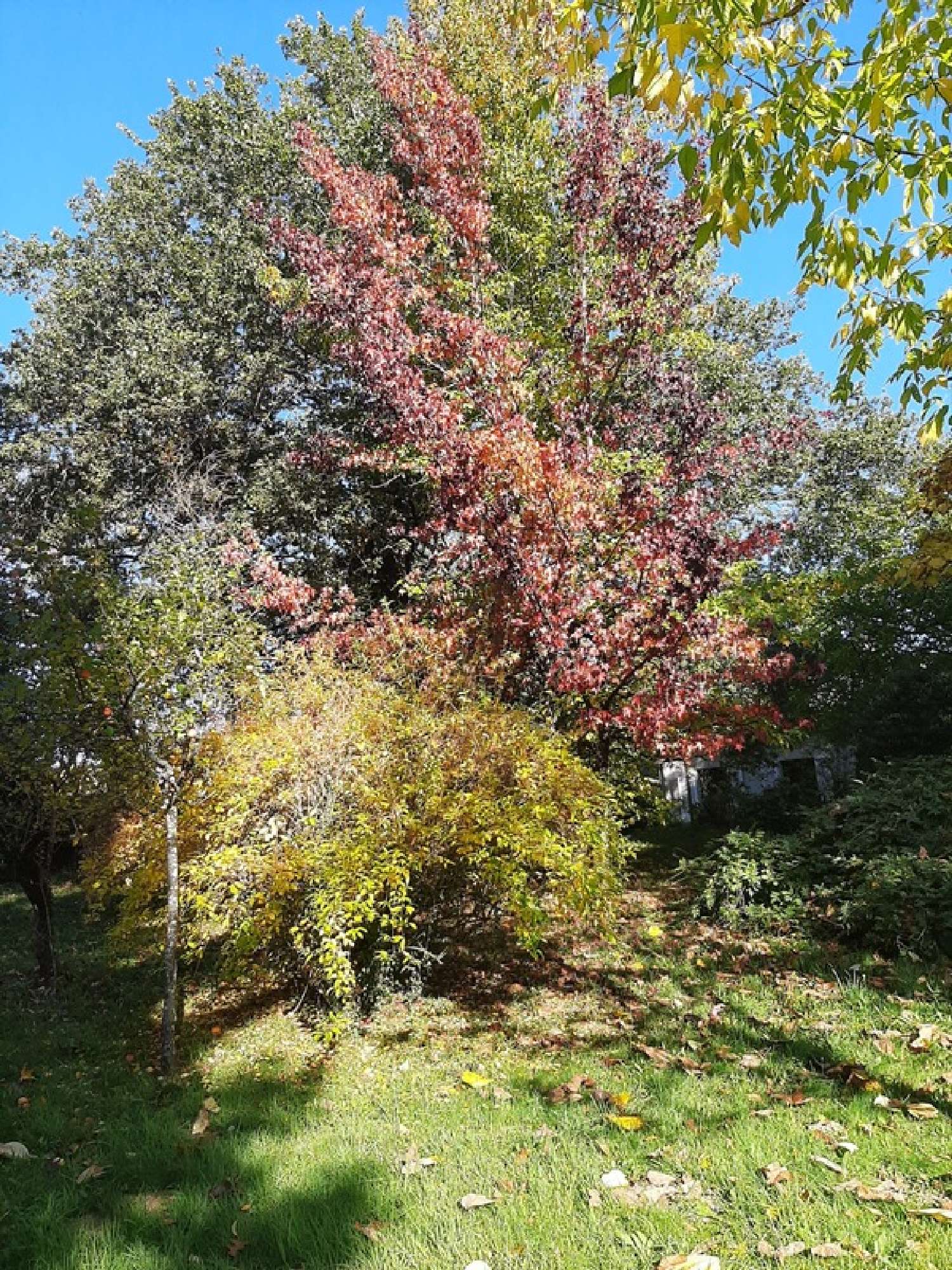  te koop boerderij Le Vigen Haute-Vienne 7