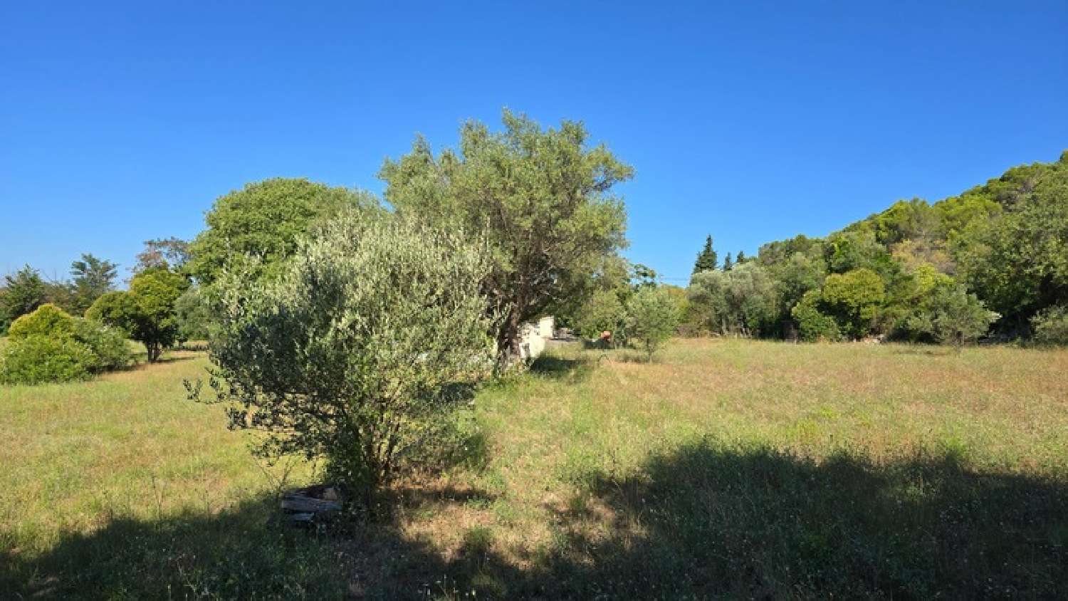  à vendre ferme Lorgues Var 3