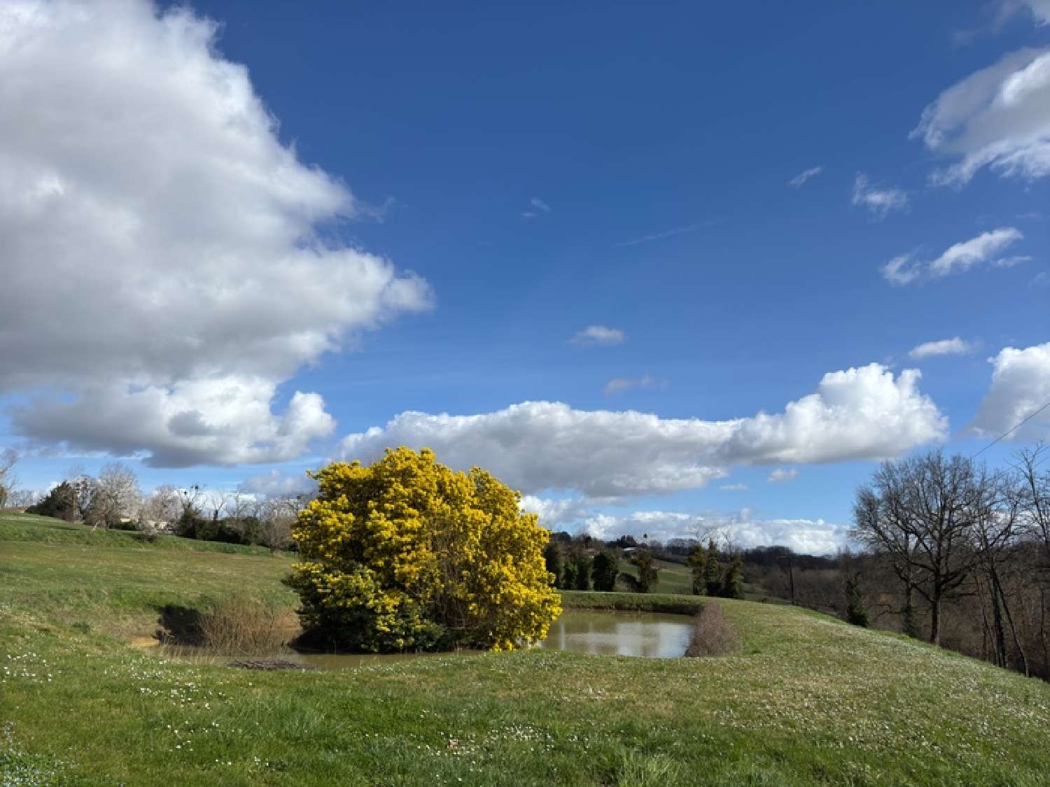 à vendre ferme Marmande Lot-et-Garonne 4