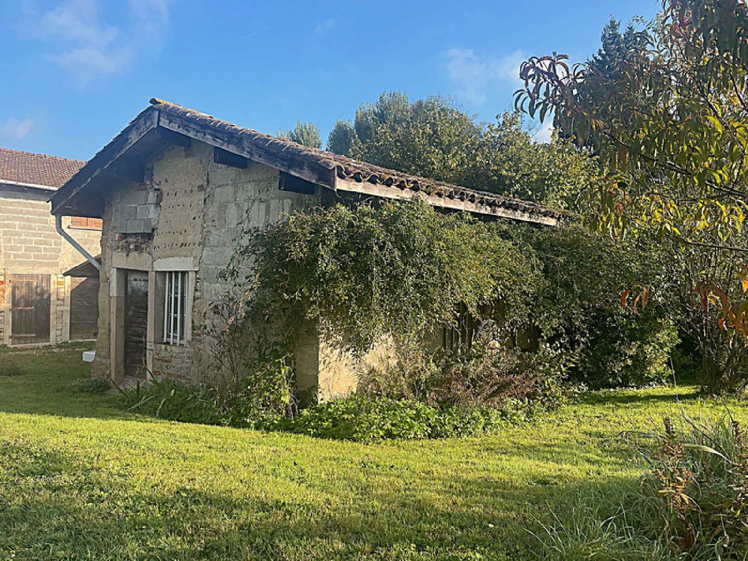  for sale farm Mogneneins Ain 3