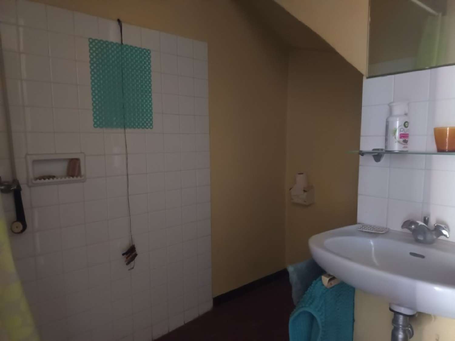 te koop boerderij Monlezun-d'Armagnac Gers 5