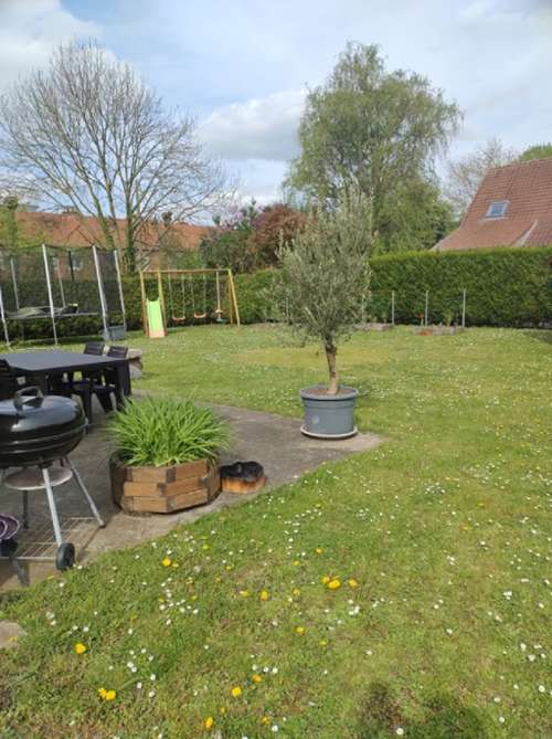  te koop boerderij Warlaing Nord 7