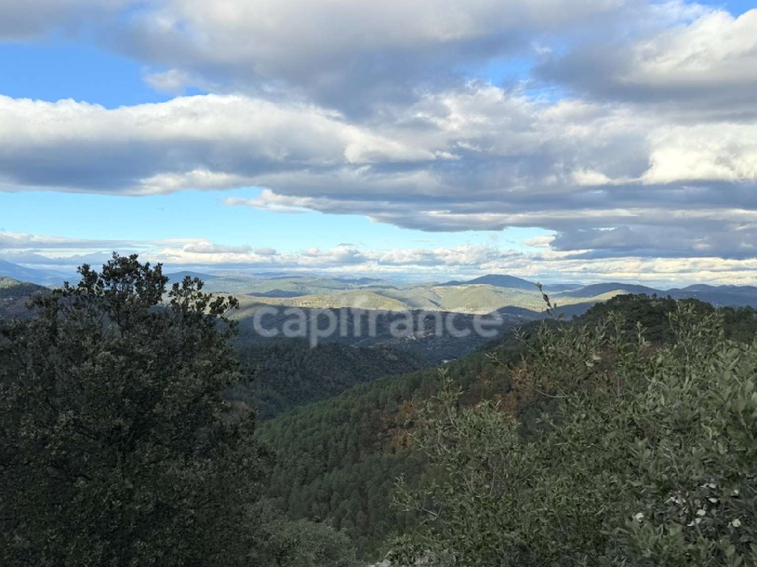 te koop boerderij Saint-Jean-du-Pin Gard 4