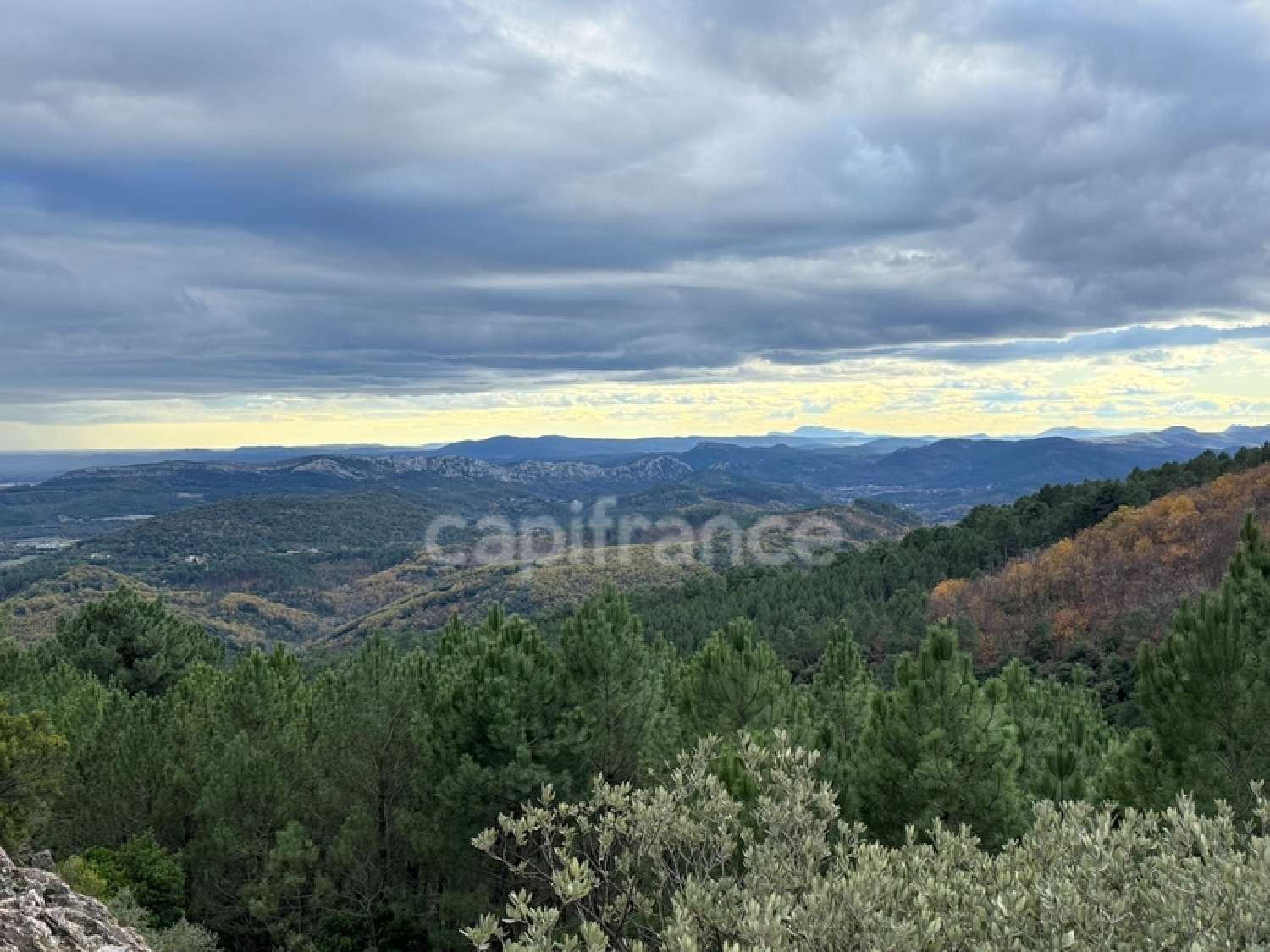 te koop boerderij Saint-Jean-du-Pin Gard 5