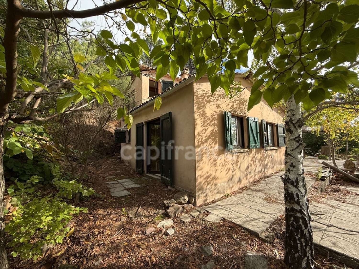 te koop boerderij Saint-Jean-du-Pin Gard 7