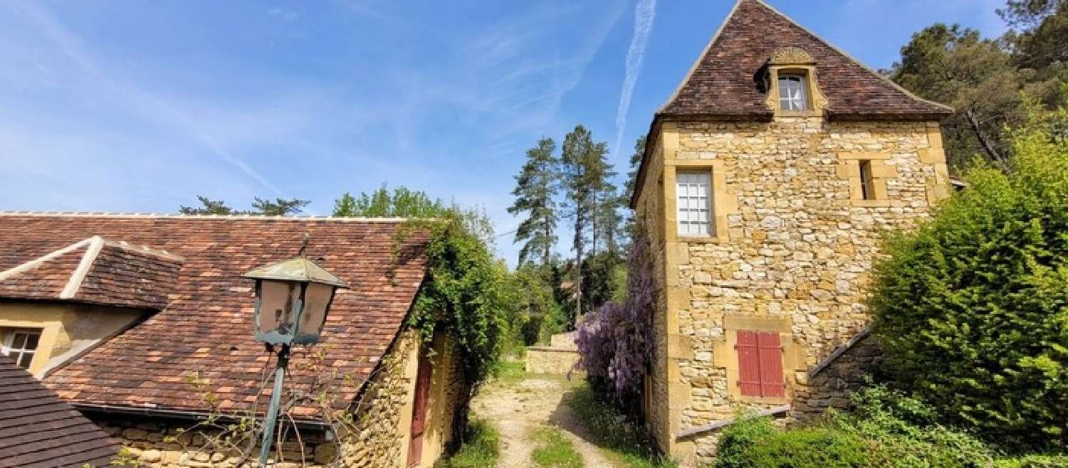  kaufen Bauernhof Saint-Léon-sur-Vézère Dordogne 4