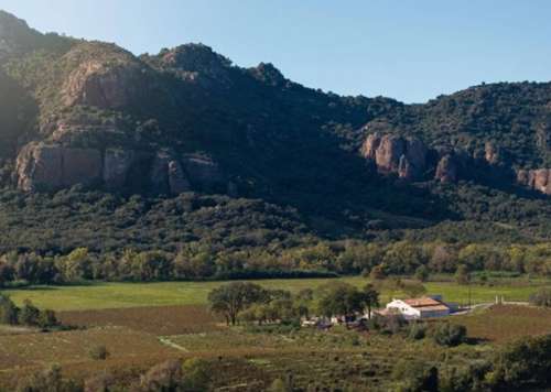 Sainte-Maxime Var boerderij foto 7187141