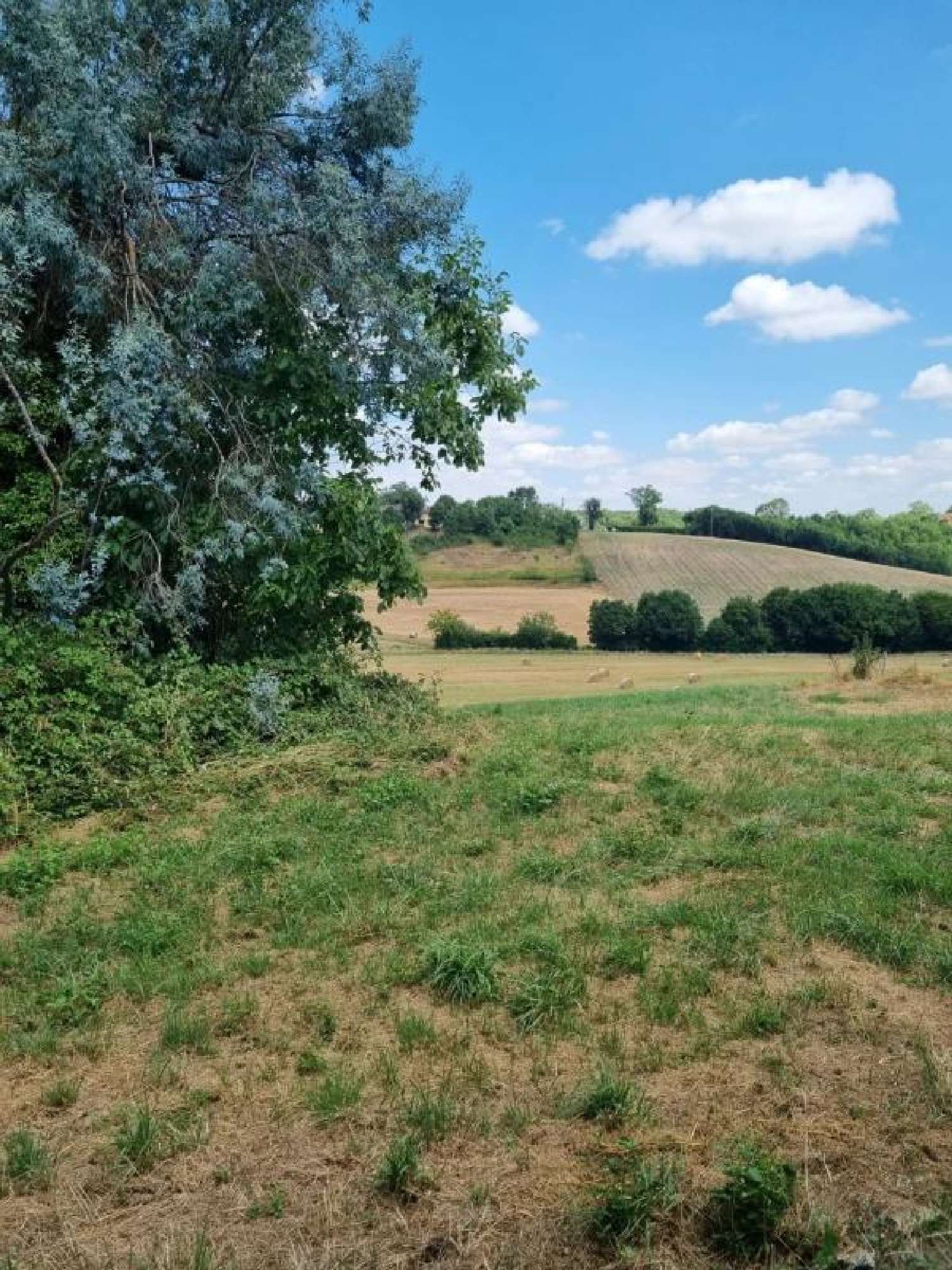  te koop boerderij Seissan Gers 5