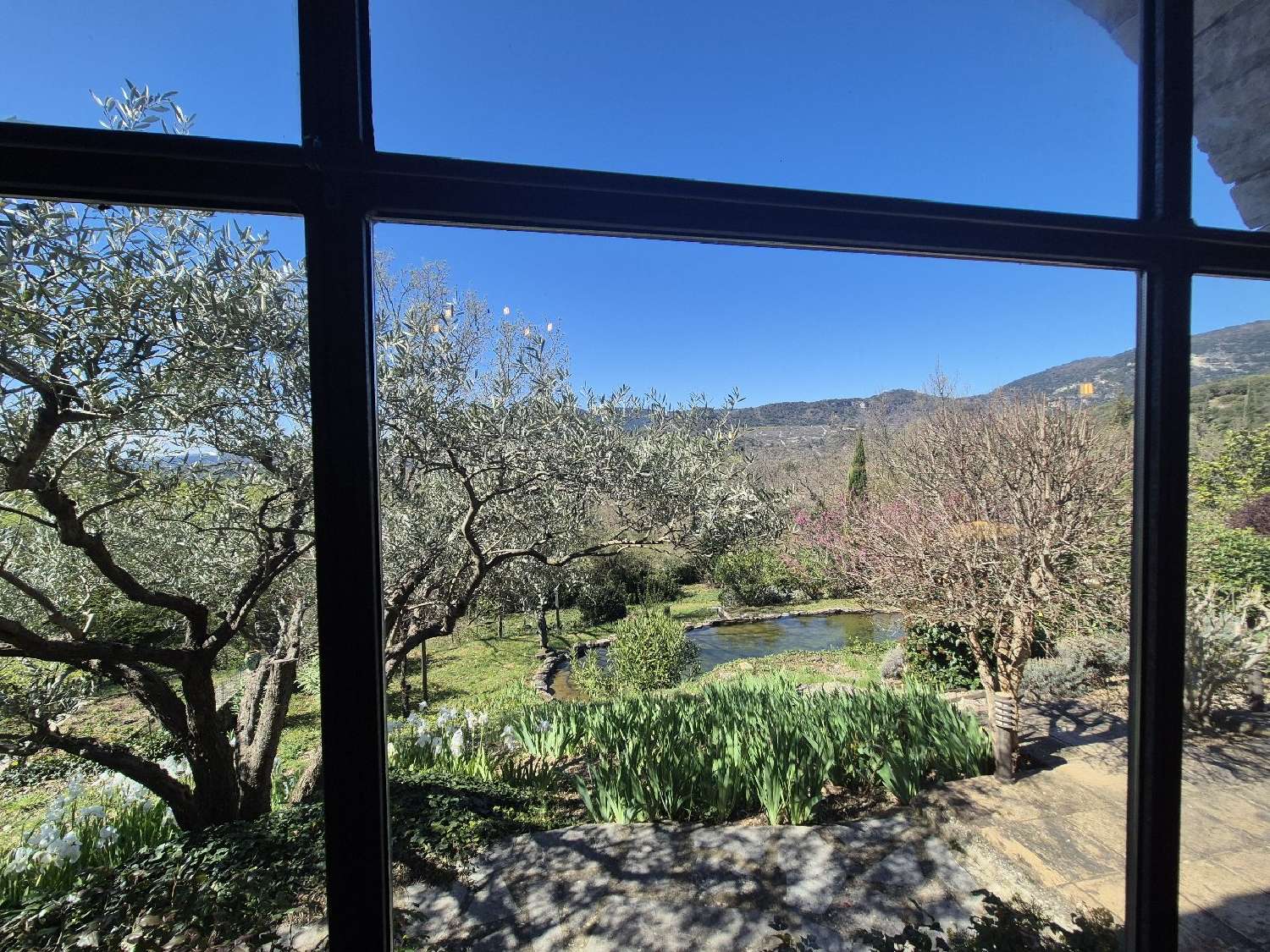  te koop boerderij Soubès Hérault 5