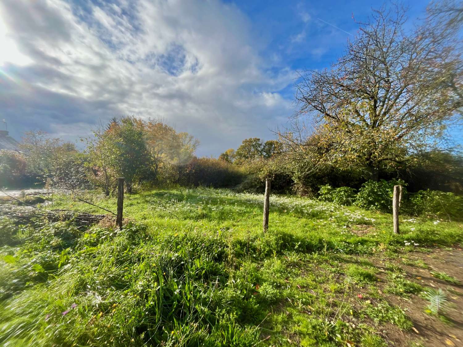 te koop boerderij Tannerre-en-Puisaye Yonne 6