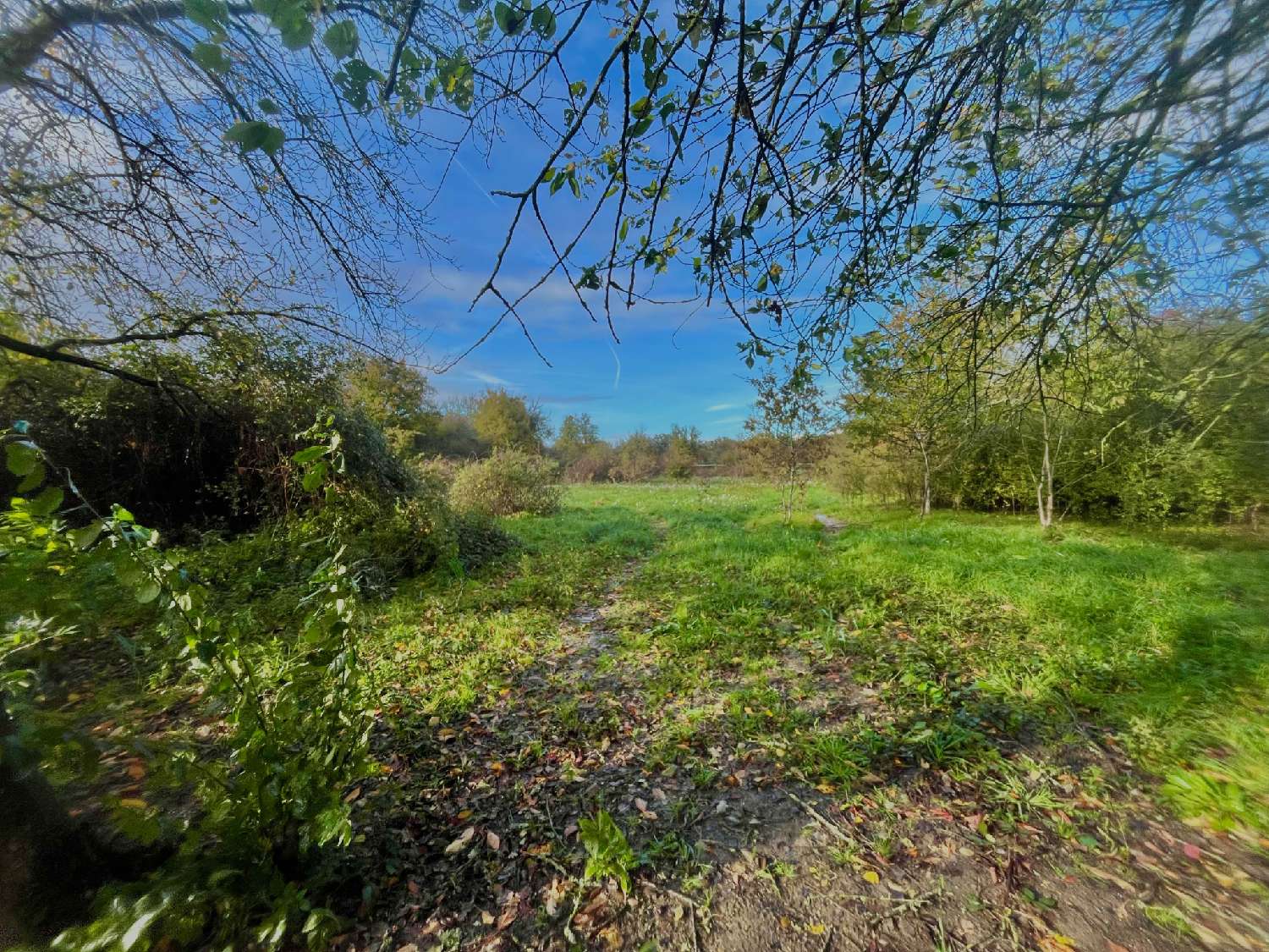 te koop boerderij Tannerre-en-Puisaye Yonne 8