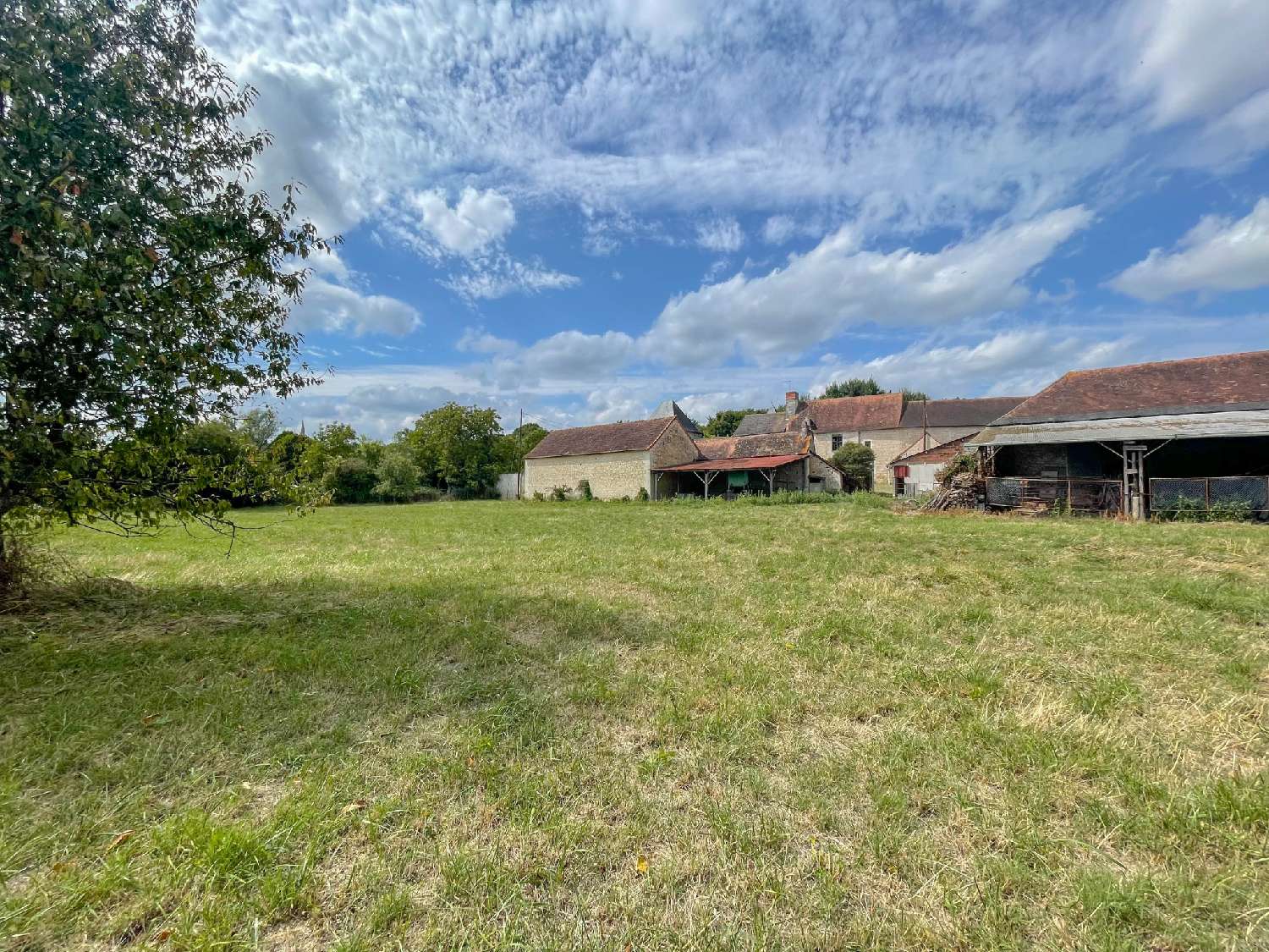  te koop boerderij Targé Vienne 1