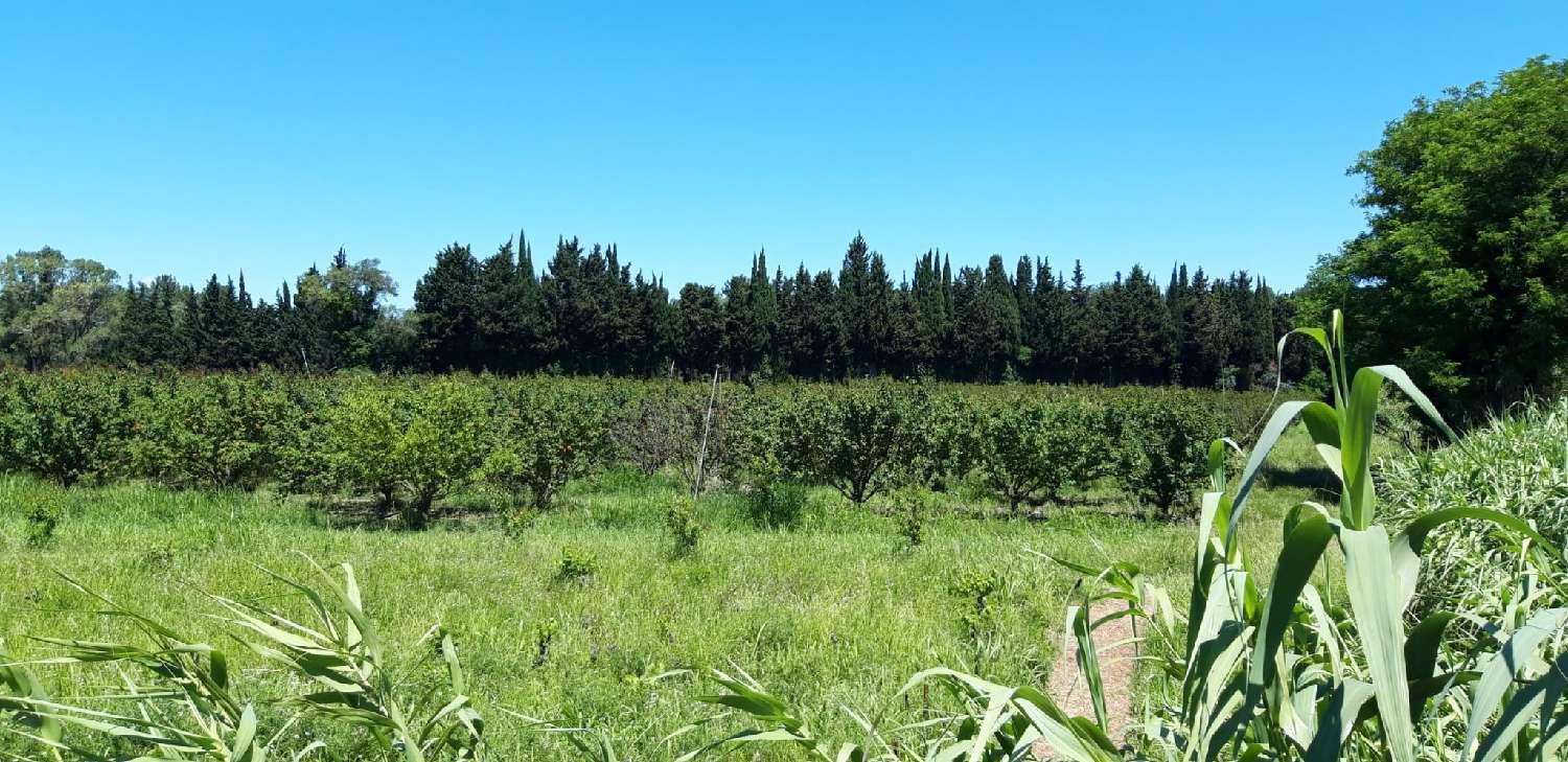te koop boerderij Vallabrègues Gard 1