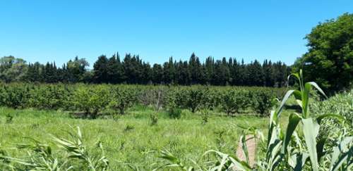 Vallabrègues Gard boerderij foto