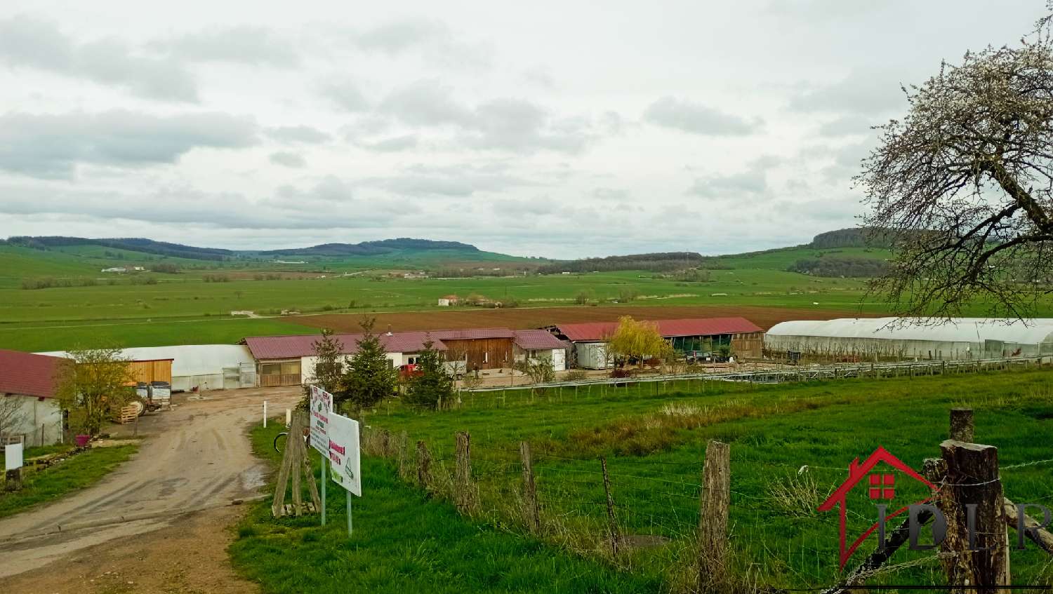 kaufen Bauernhof Vittel Vogesen 2