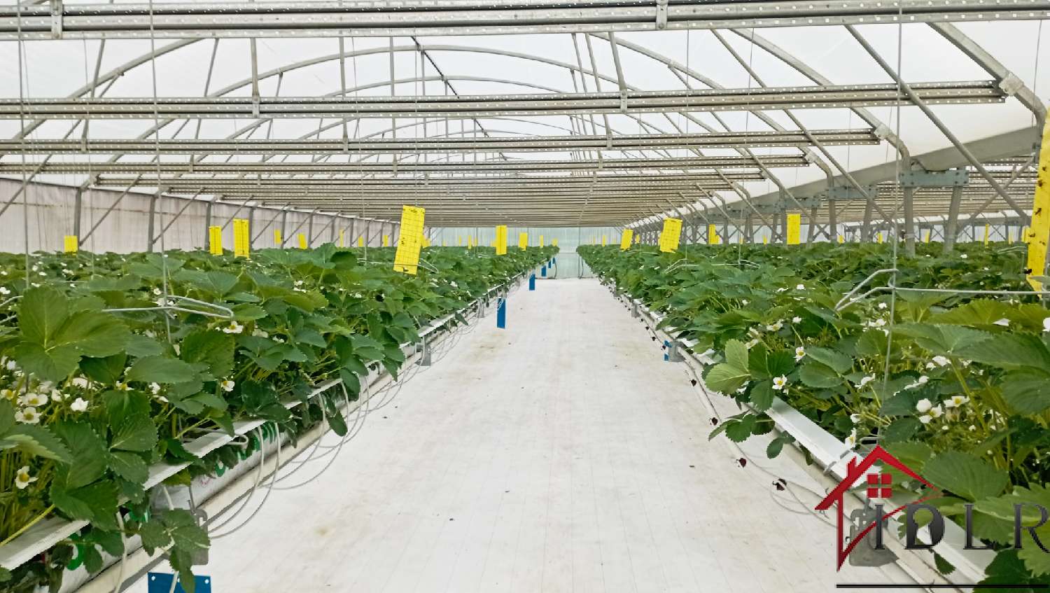 kaufen Bauernhof Vittel Vogesen 4