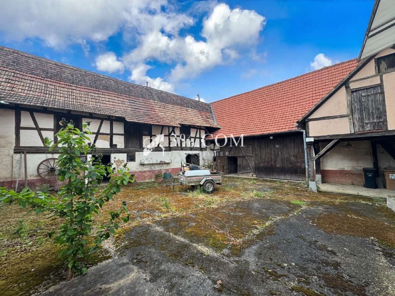 à vendre ferme Wilshausen Bas-Rhin 2
