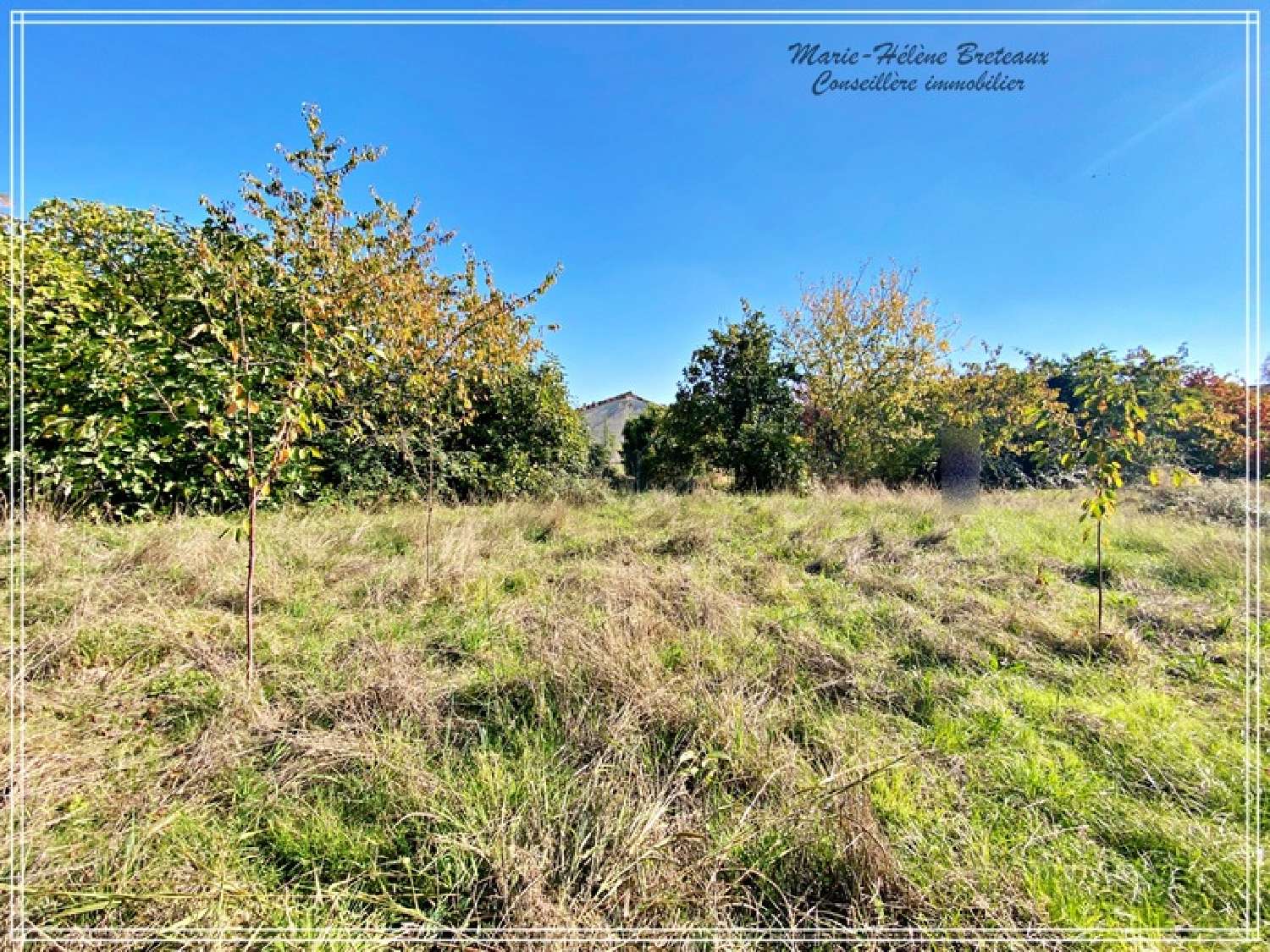 kaufen Haus Agen Lot-et-Garonne 7