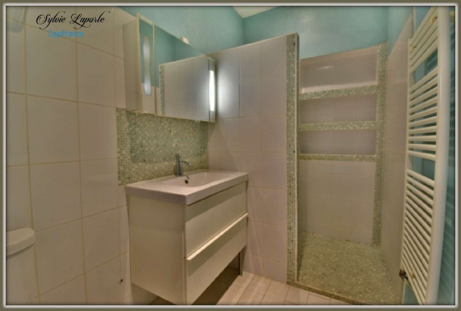 for sale house Agen Lot-et-Garonne 6