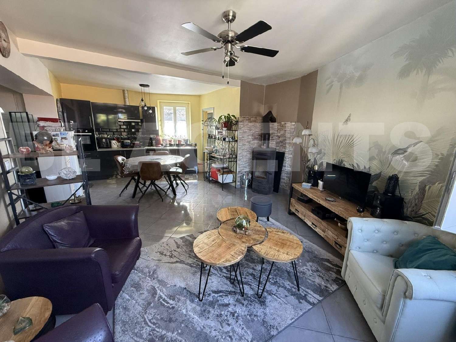  te koop huis Aiguefonde Tarn 1