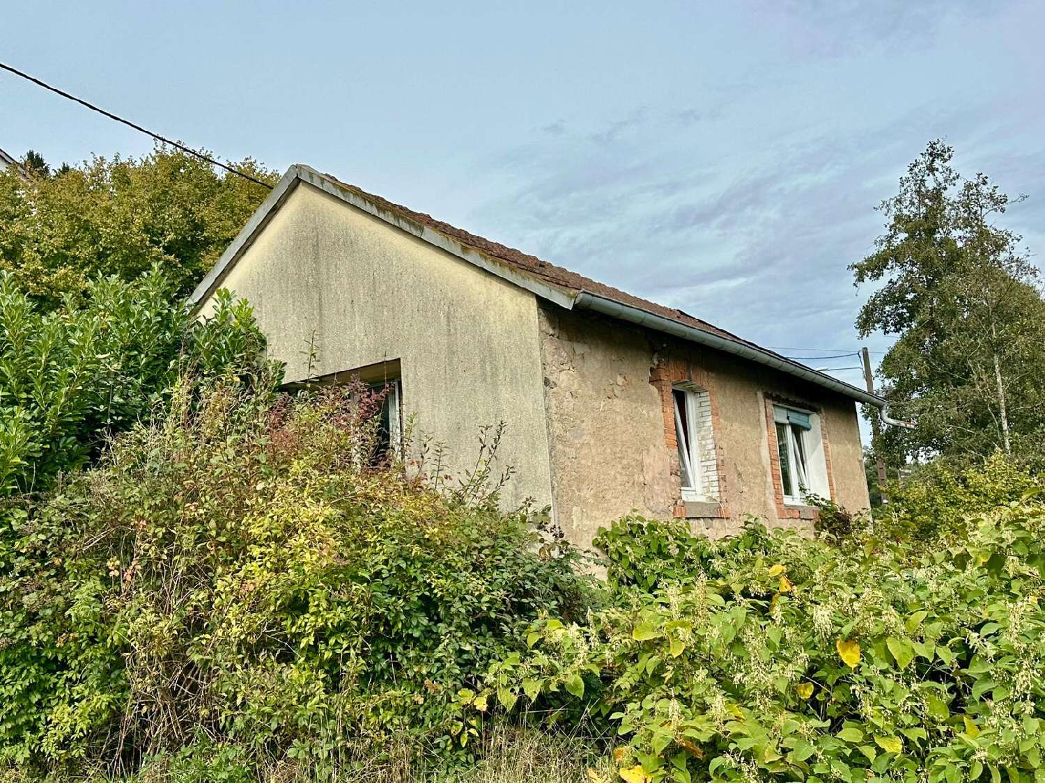 for sale house Aillevillers-et-Lyaumont Haute-Saône 1