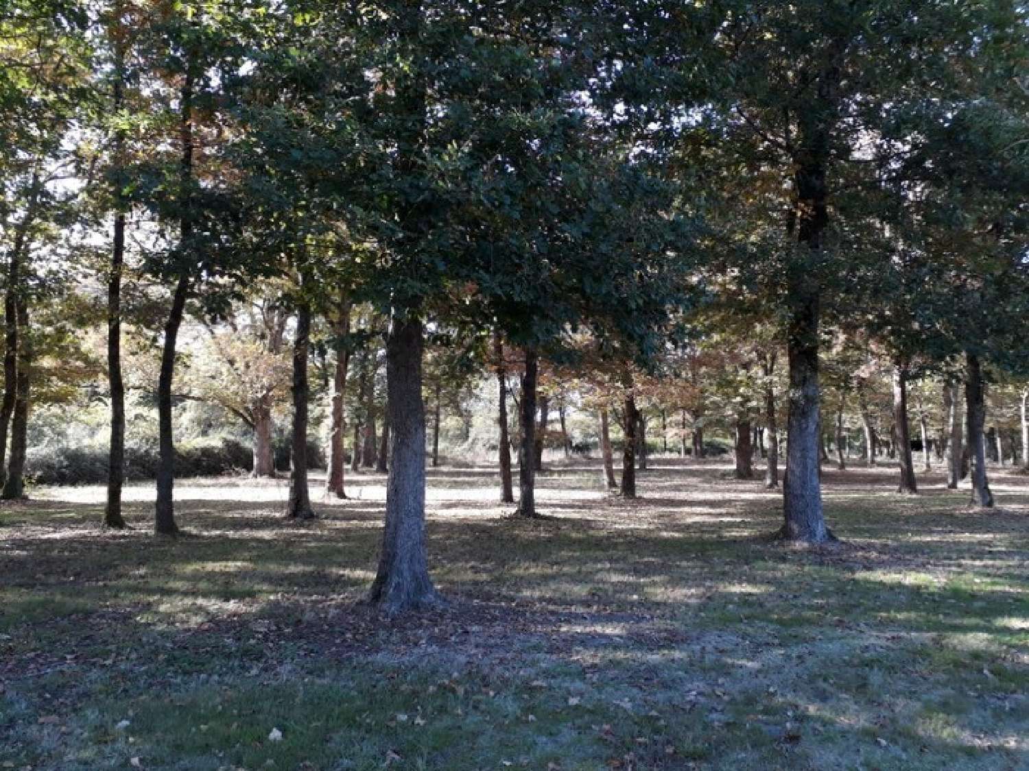  te koop huis Aire-sur-l'Adour Landes 7