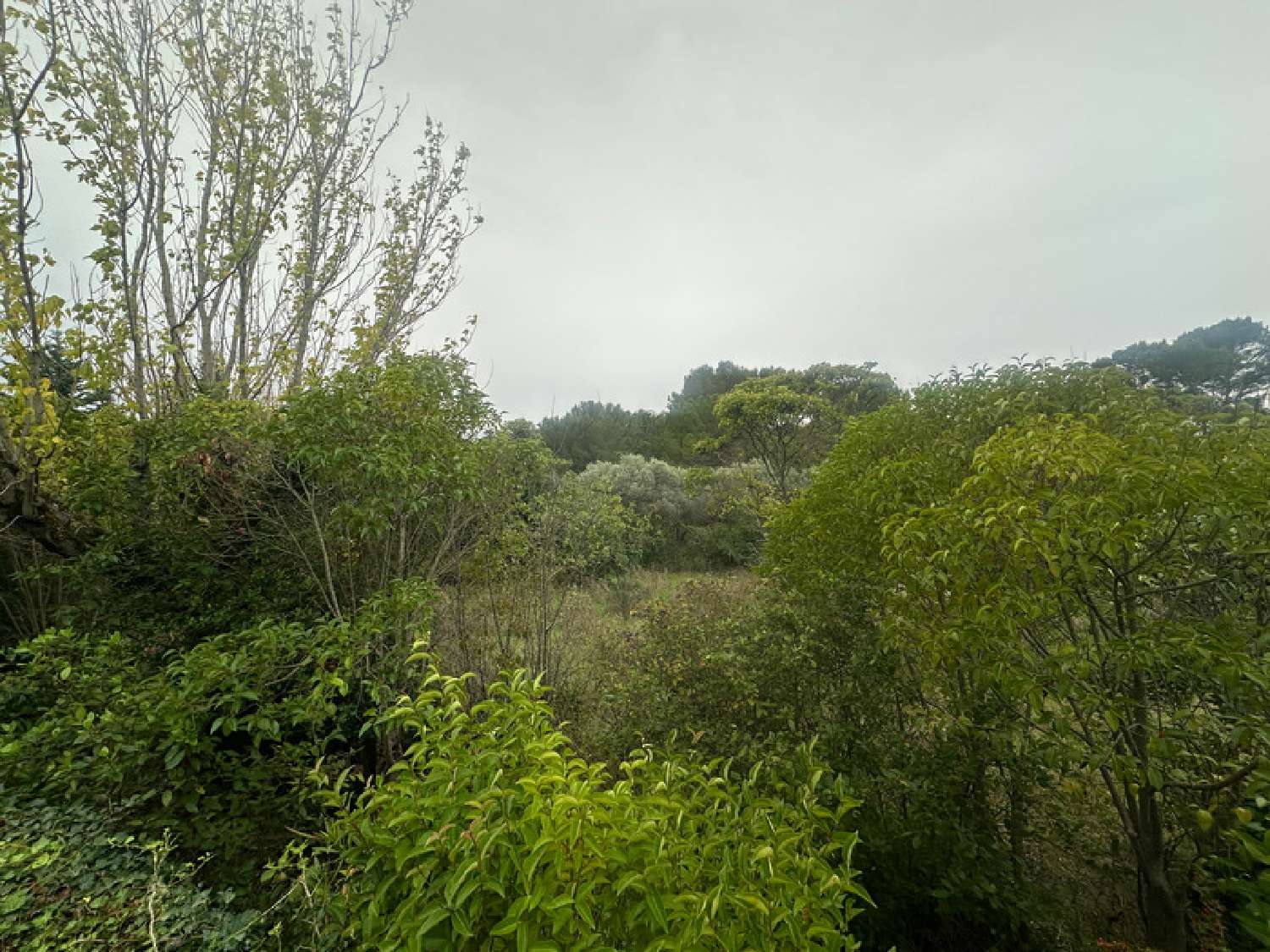  en venta casa Aix-en-Provence 13090 Bocas del Ródano 5