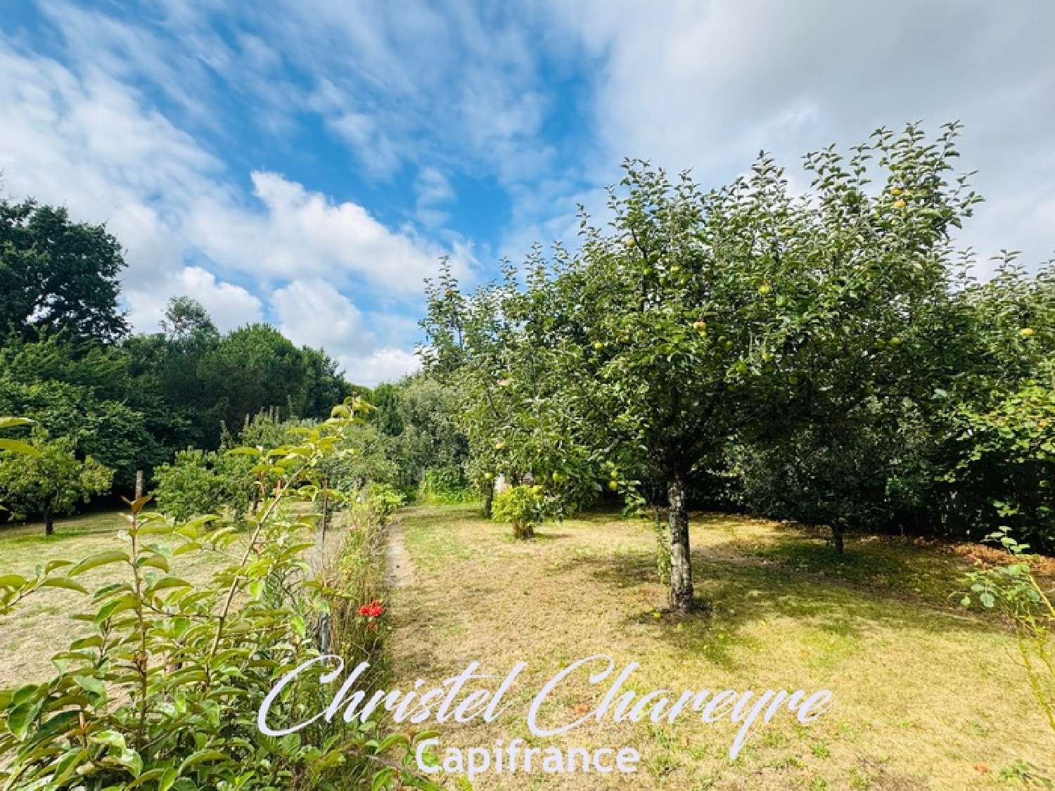  te koop huis Aizenay Vendée 7