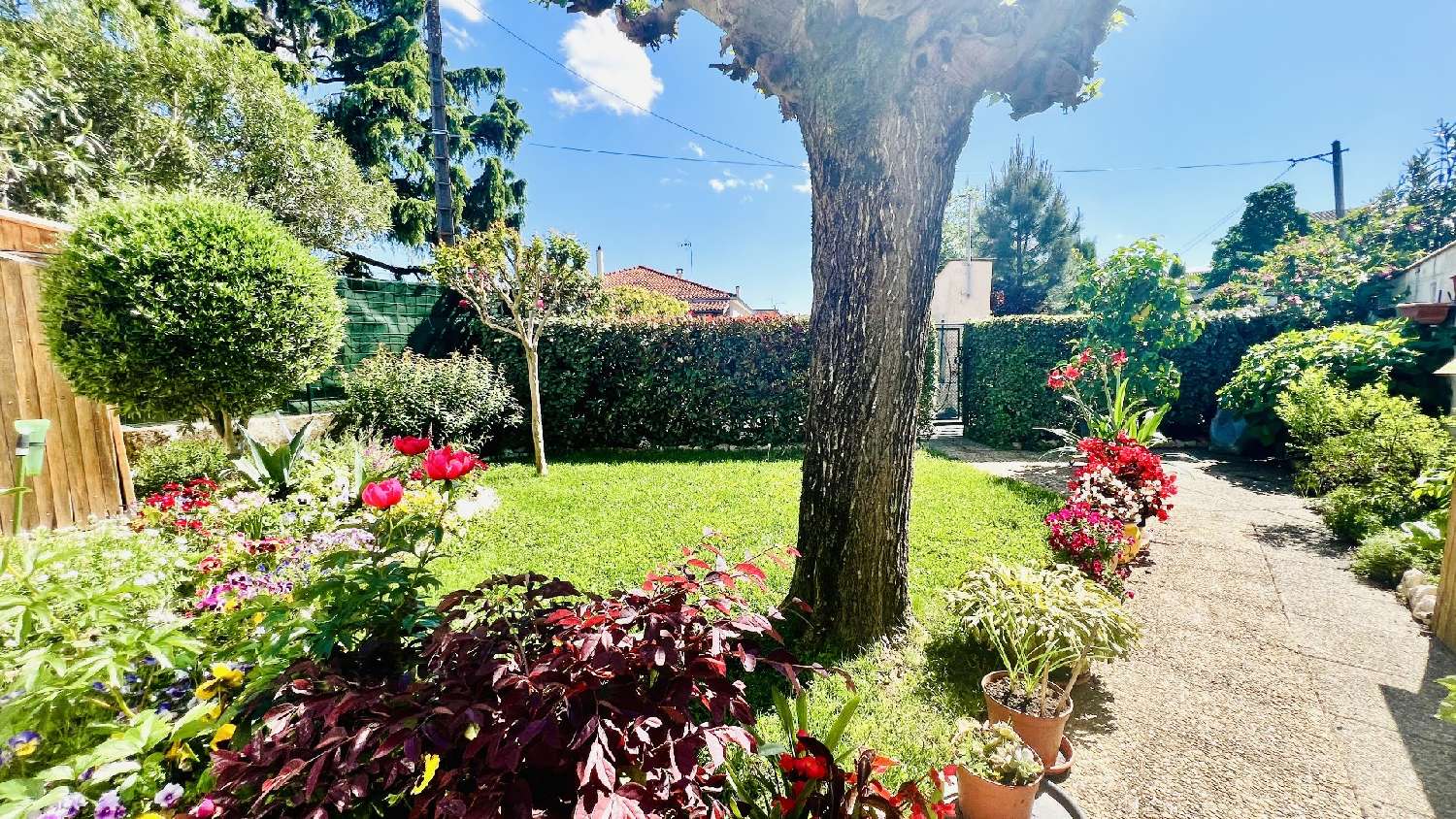 te koop huis Albi Tarn 2