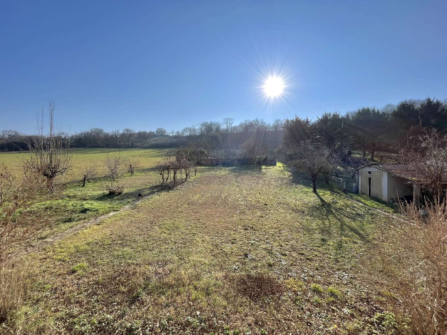  kaufen Haus Albi Tarn 5