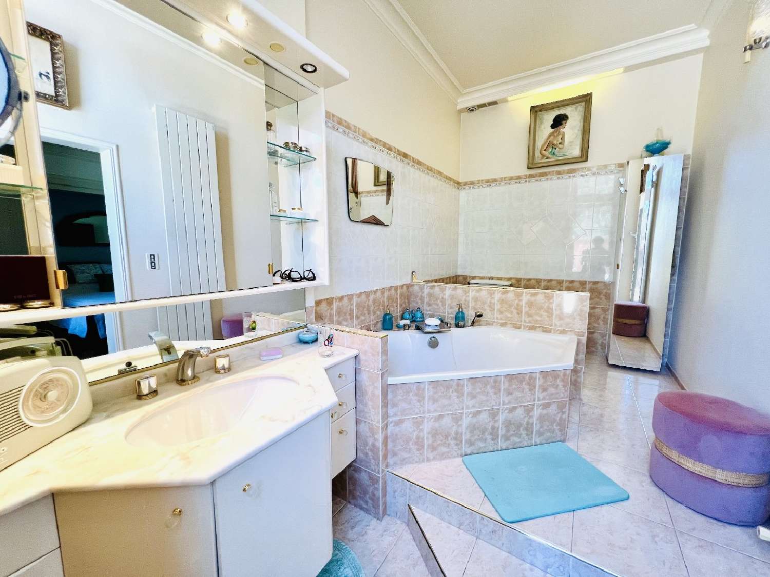  te koop huis Albi Tarn 8