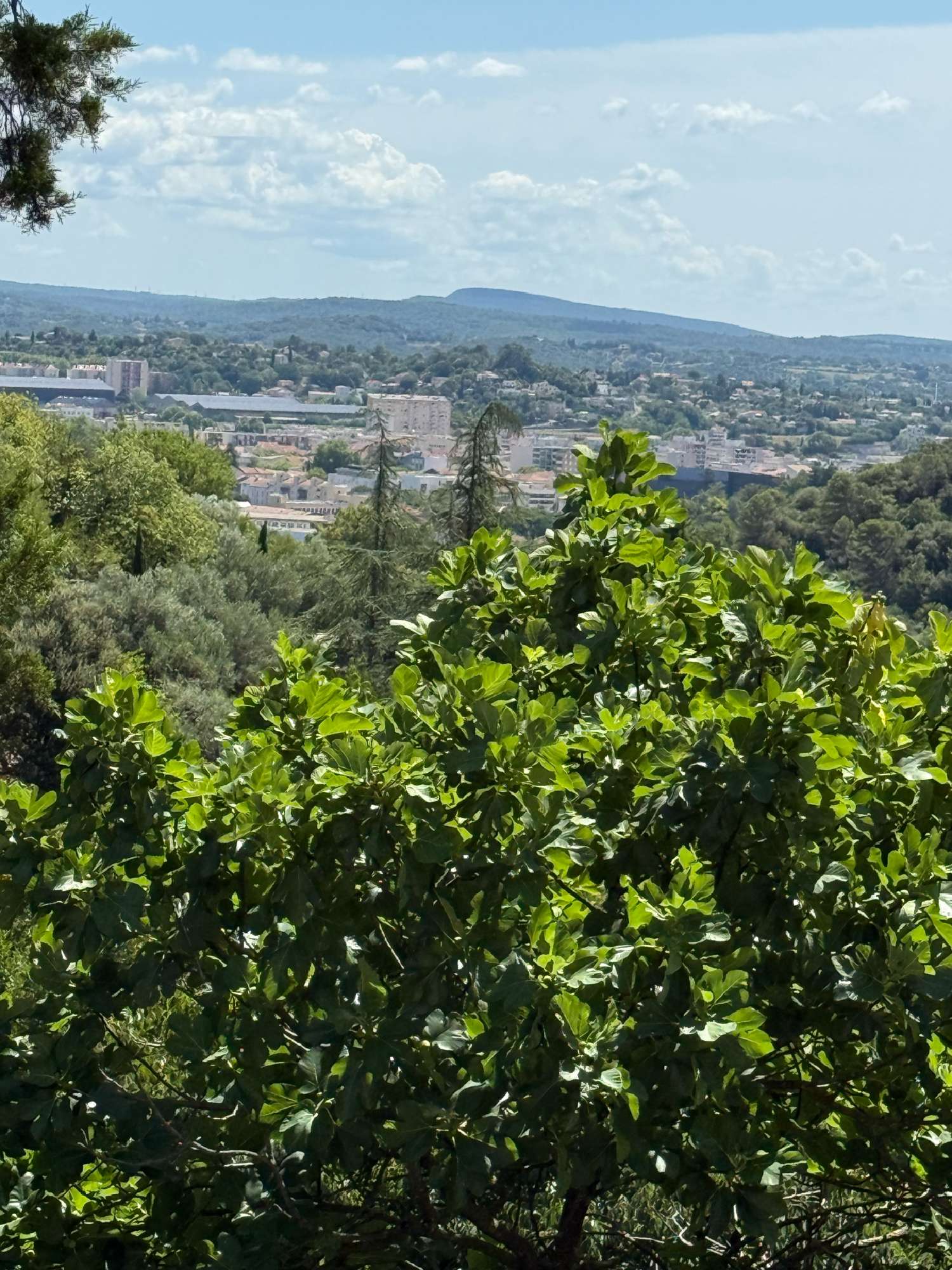 te koop huis Alès Gard 1